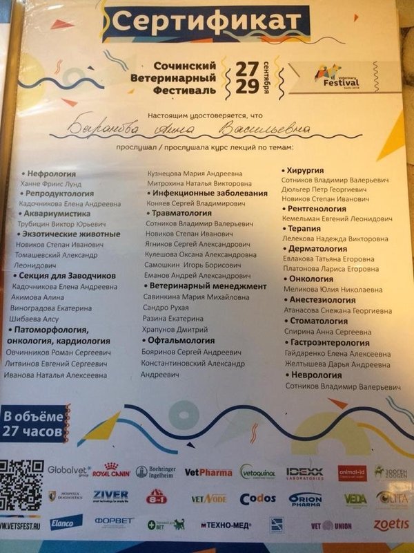 Документ или сертификат
