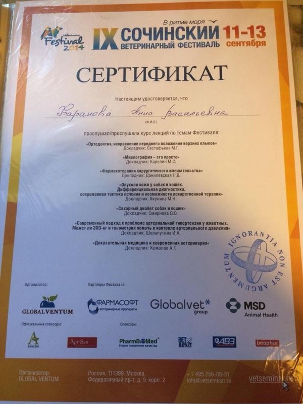 Документ или сертификат