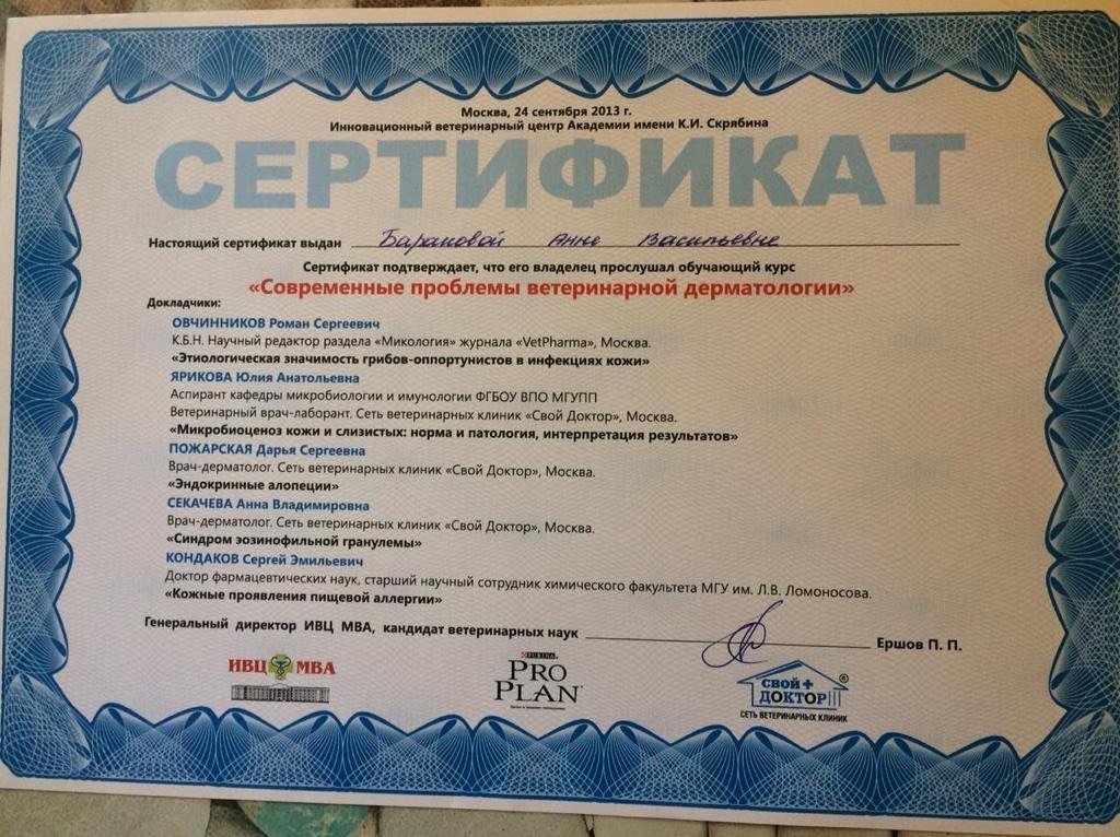 Документ или сертификат
