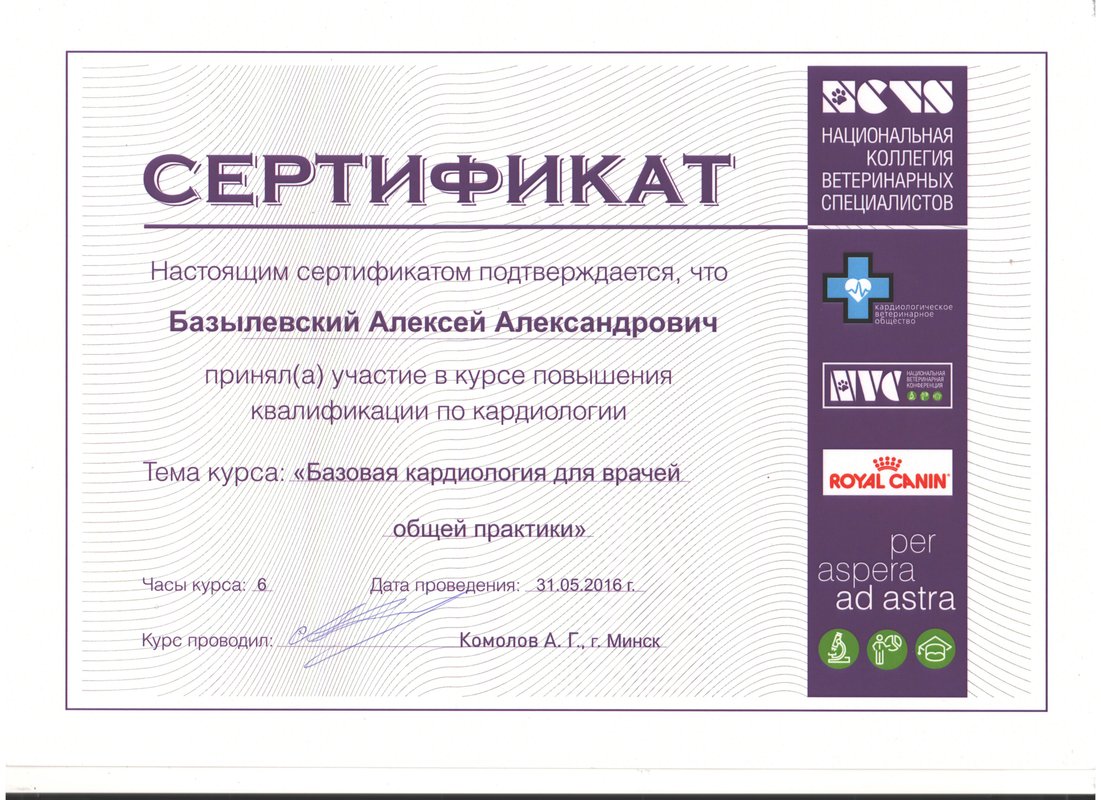 Документ или сертификат