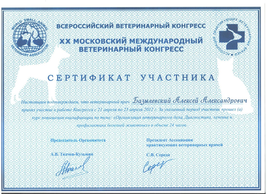 Документ или сертификат