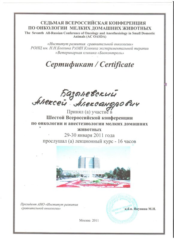 Документ или сертификат