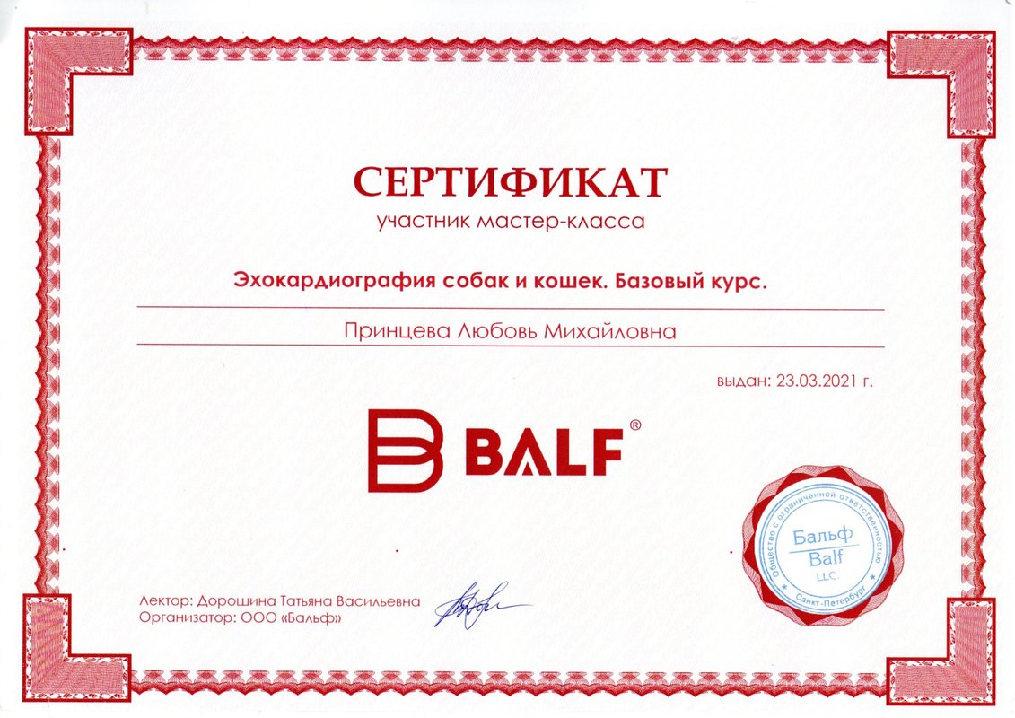 Документ или сертификат