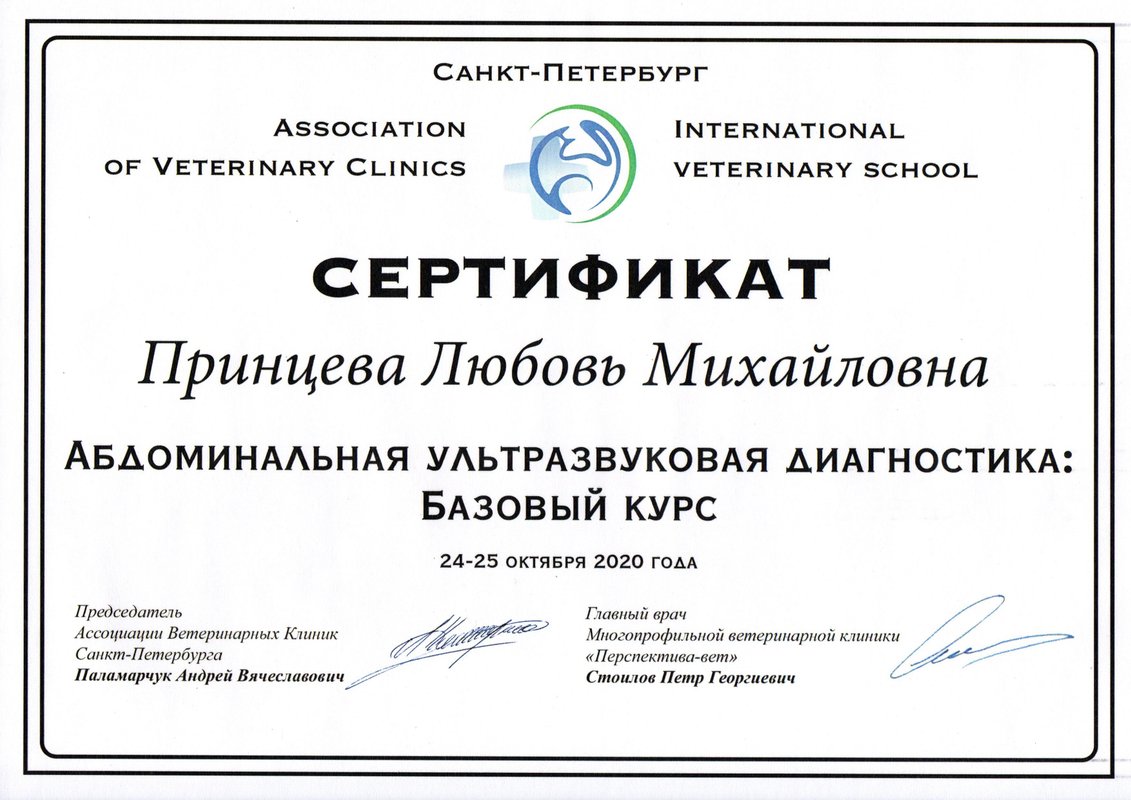 Документ или сертификат