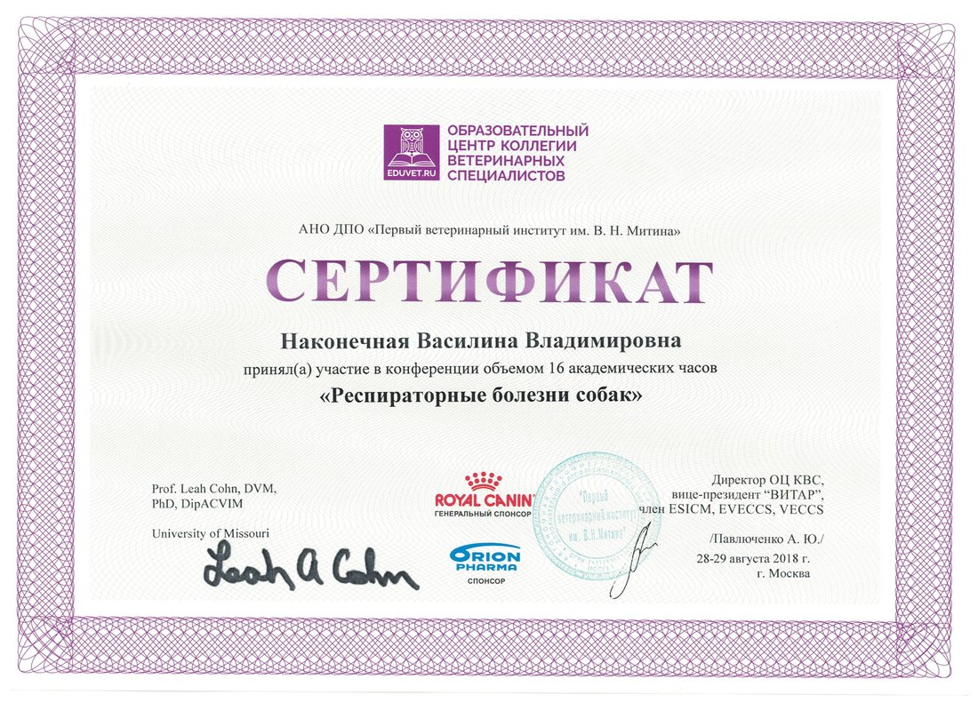 Документ или сертификат