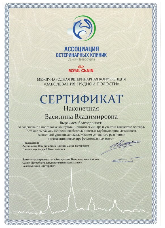 Документ или сертификат