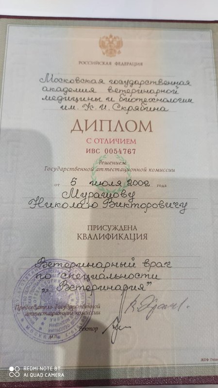 Документ или сертификат