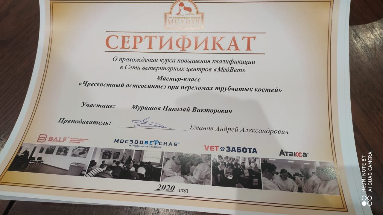 Документ или сертификат
