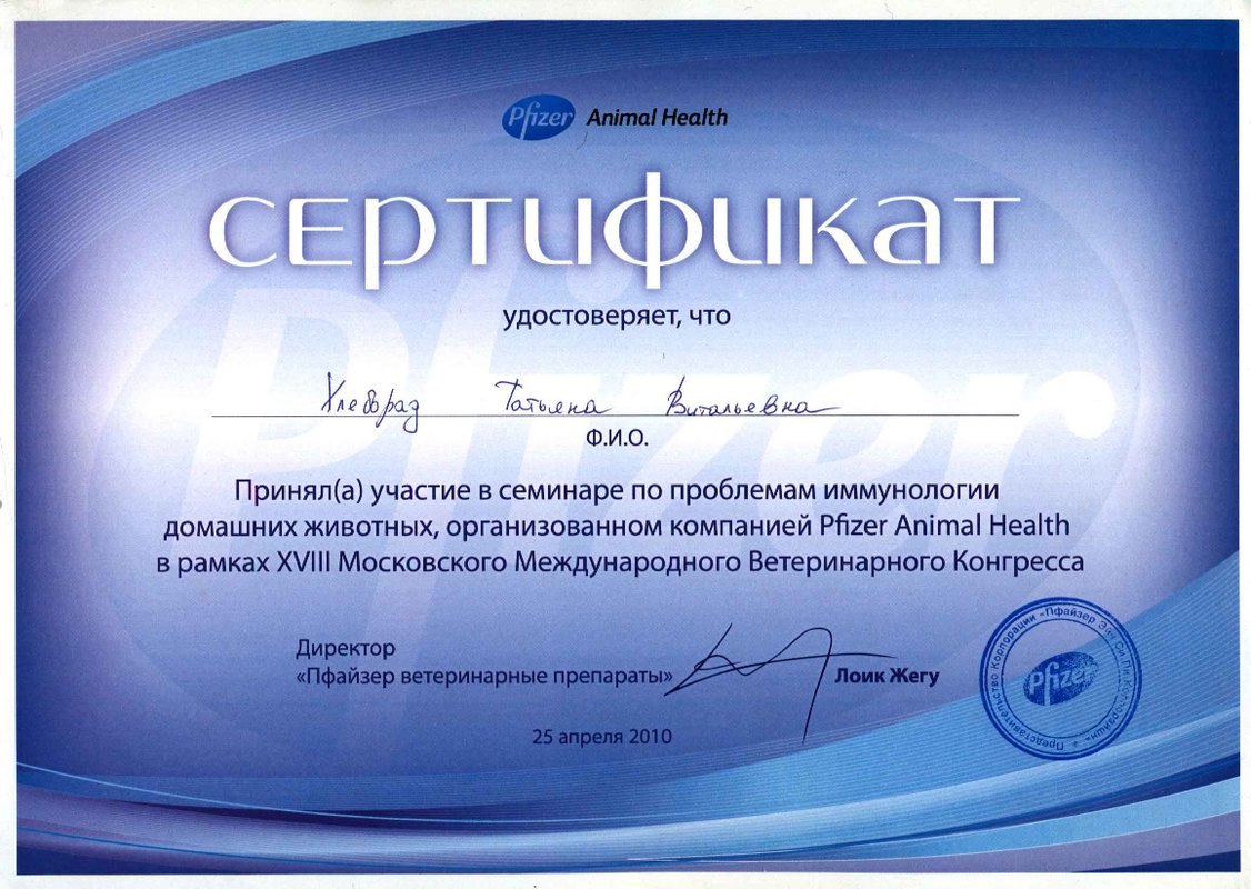 Документ или сертификат