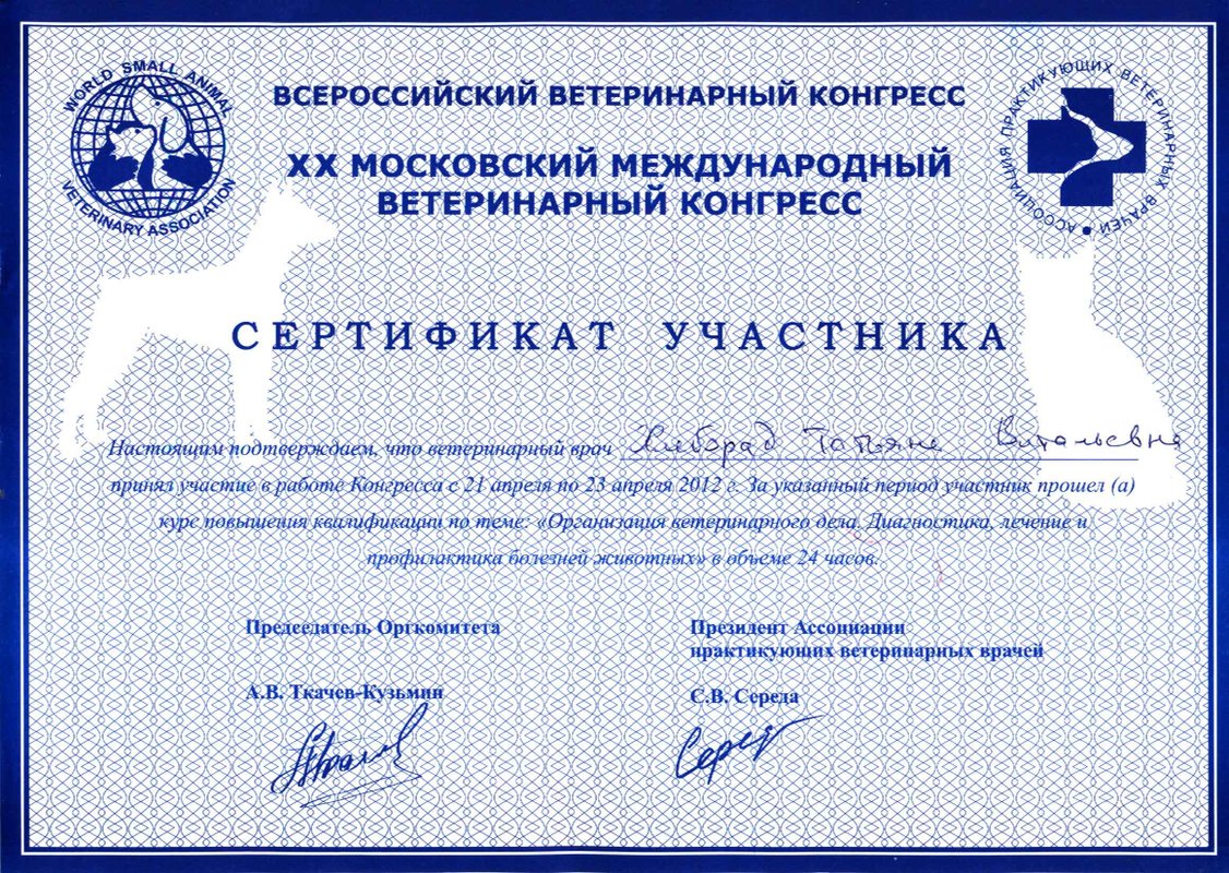 Документ или сертификат