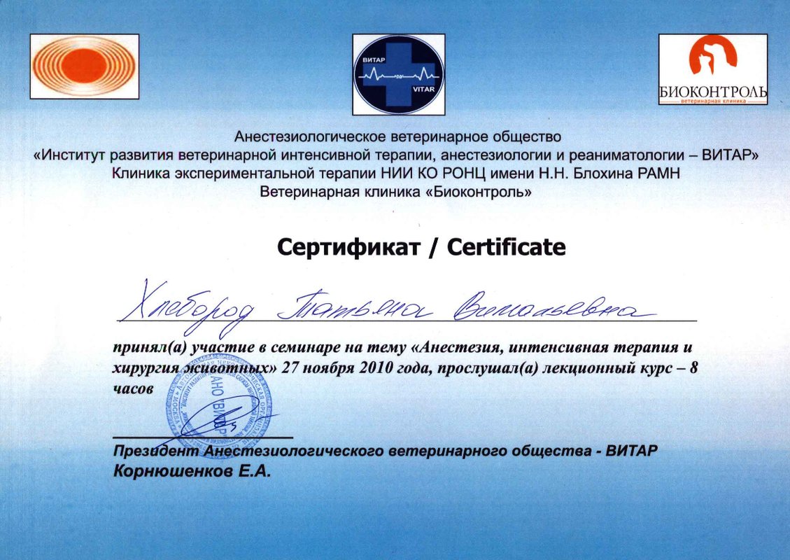 Документ или сертификат