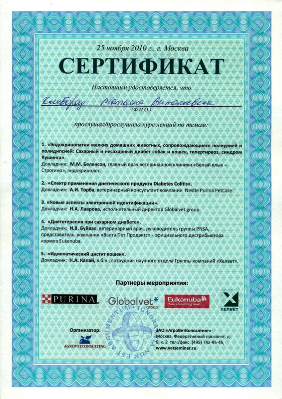 Документ или сертификат