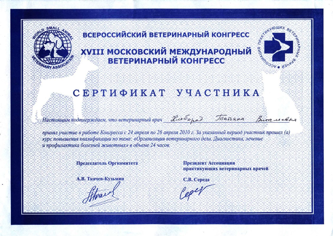Документ или сертификат