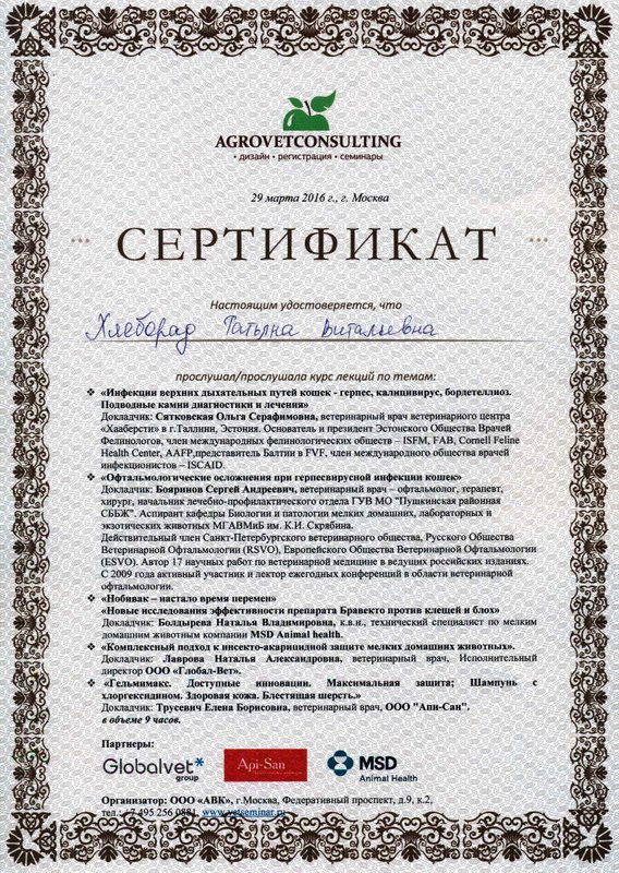Документ или сертификат