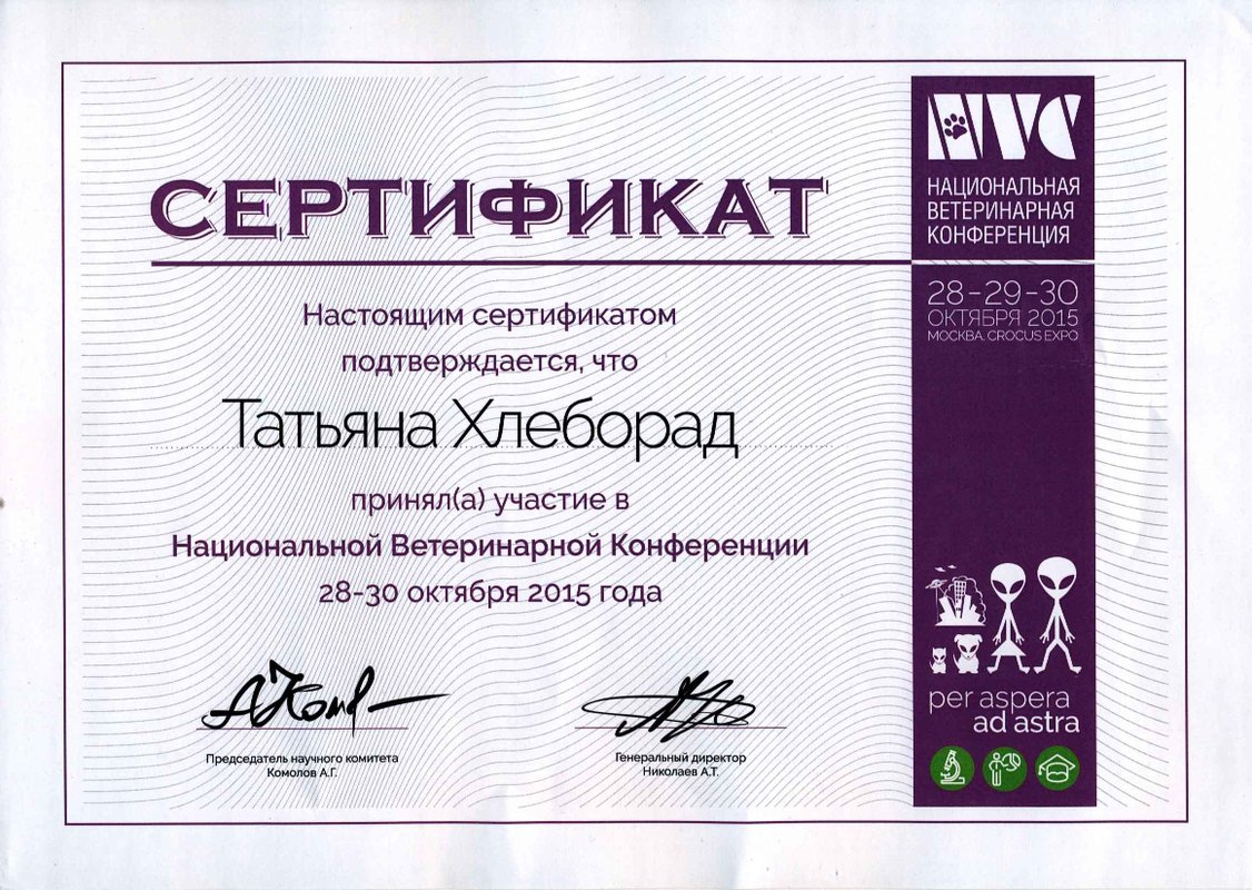 Документ или сертификат