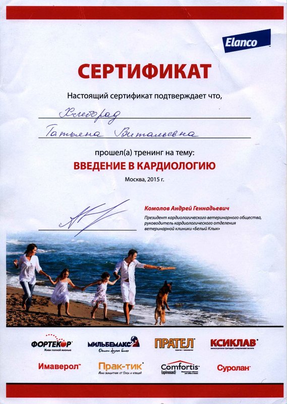 Документ или сертификат