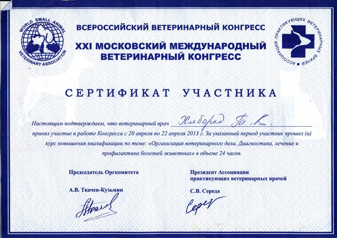 Документ или сертификат