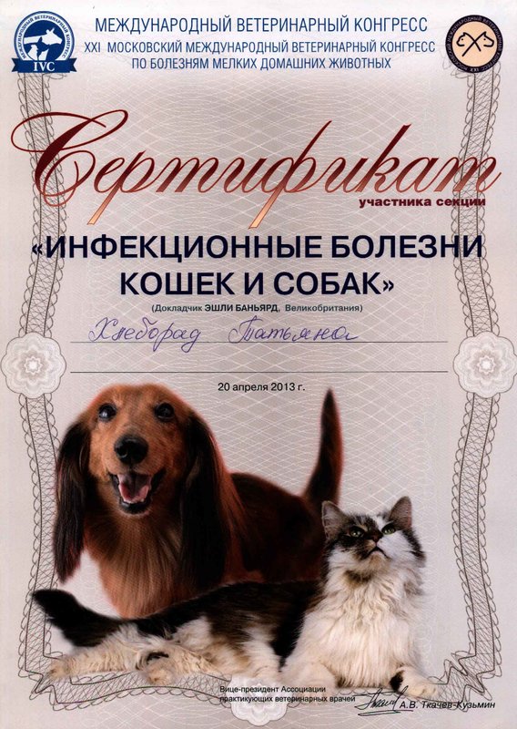 Документ или сертификат