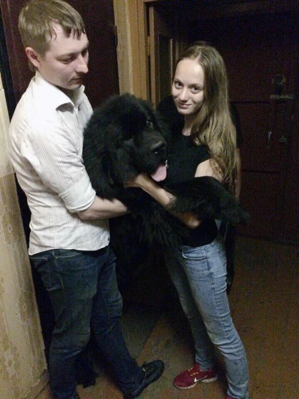 Фото врача
