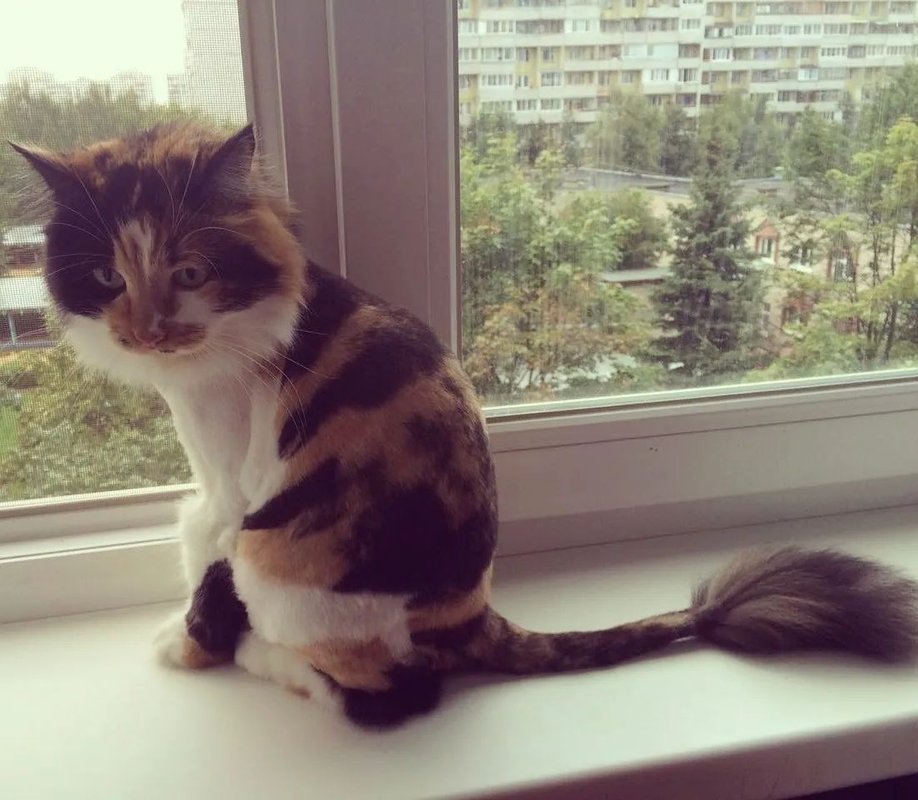 Фото врача