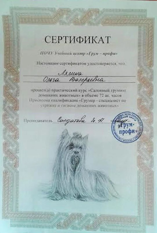 Документ или сертификат