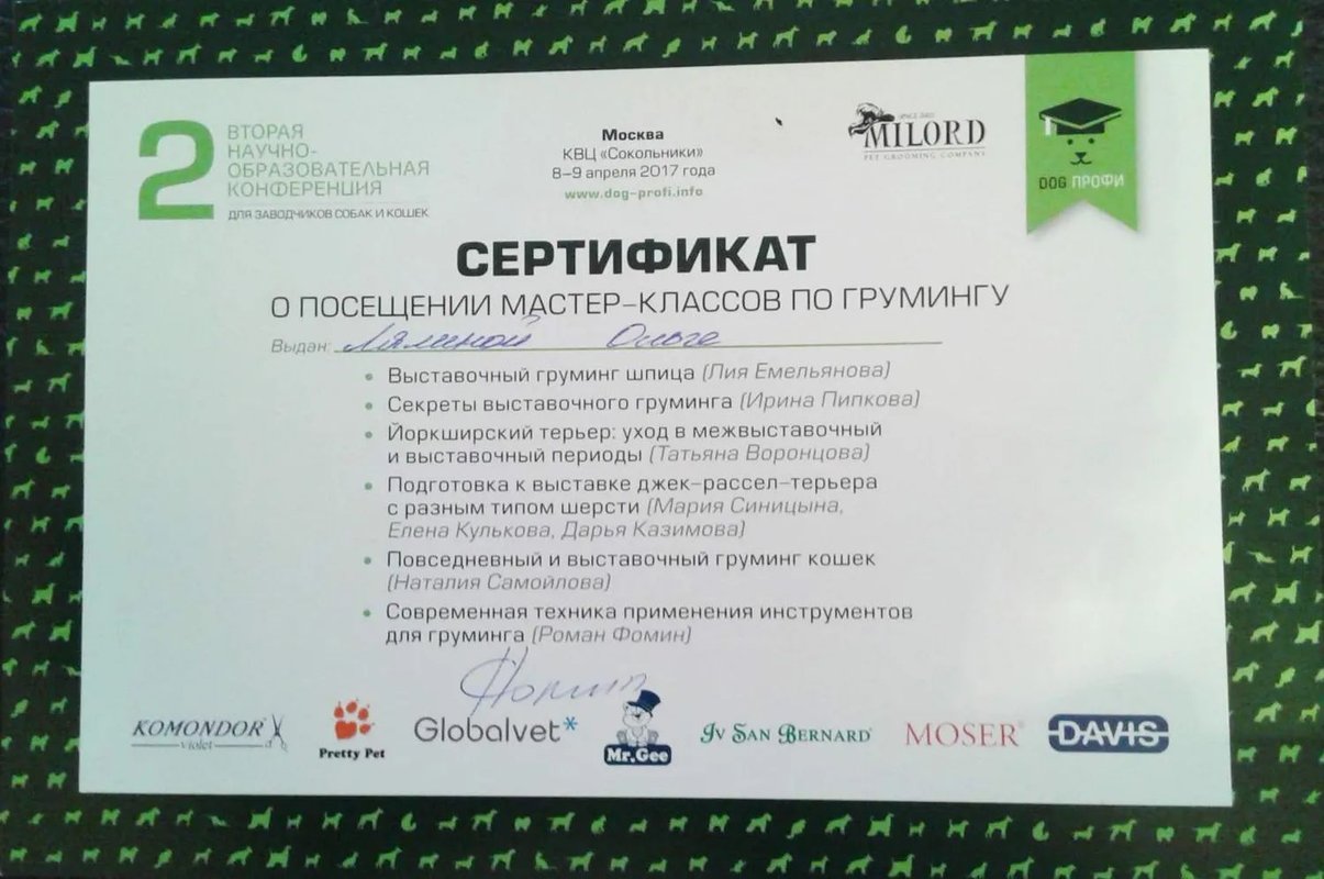 Документ или сертификат