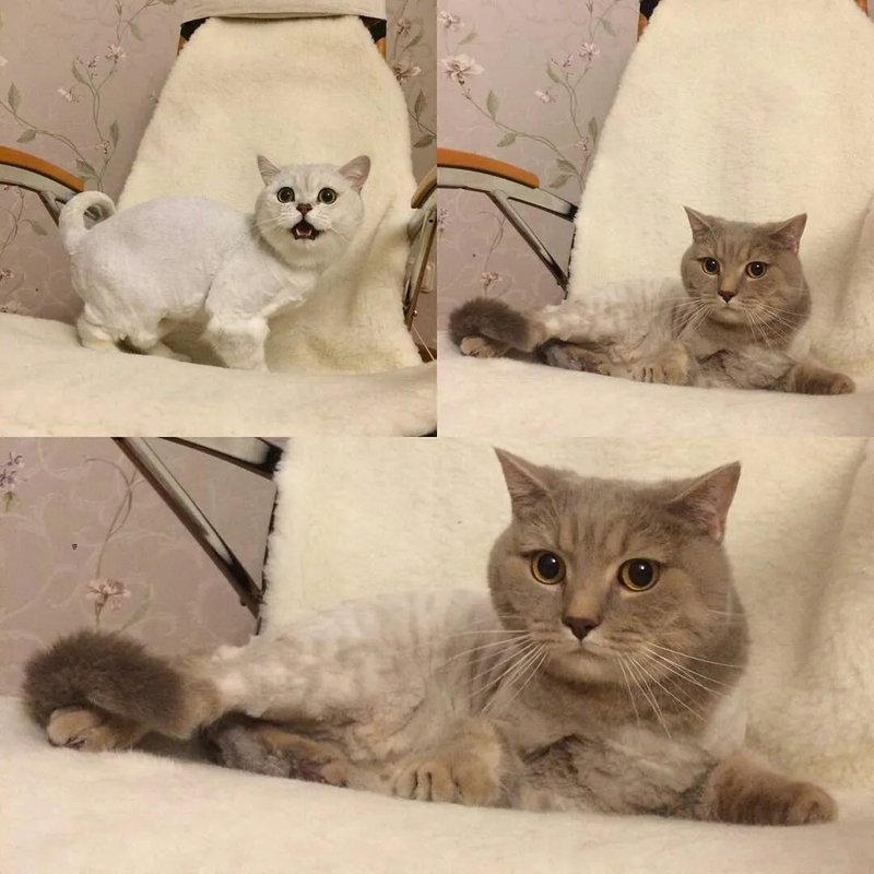 Фото врача