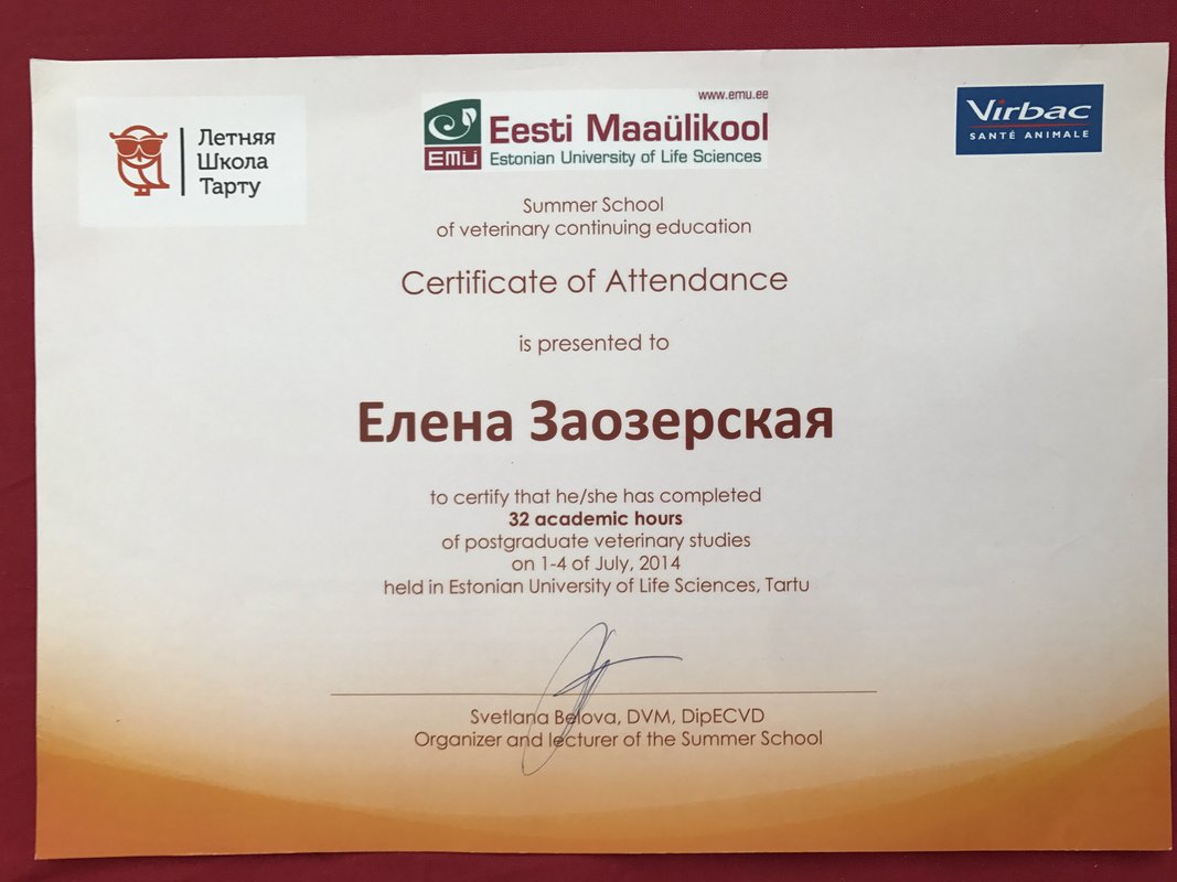 Документ или сертификат