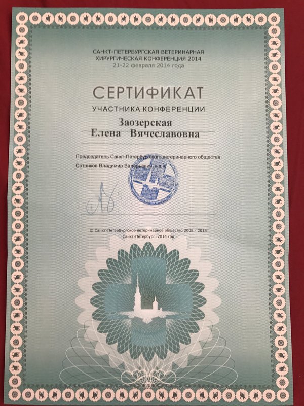Документ или сертификат