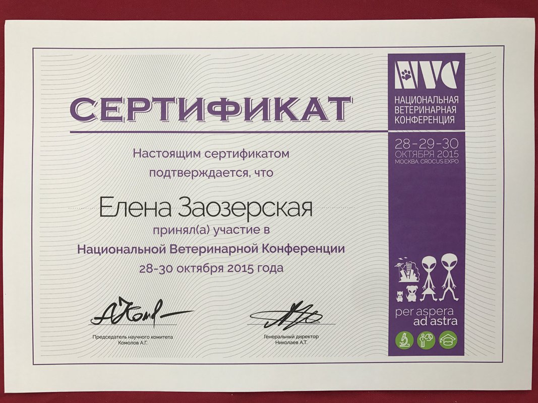Документ или сертификат