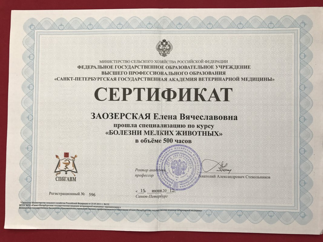 Документ или сертификат