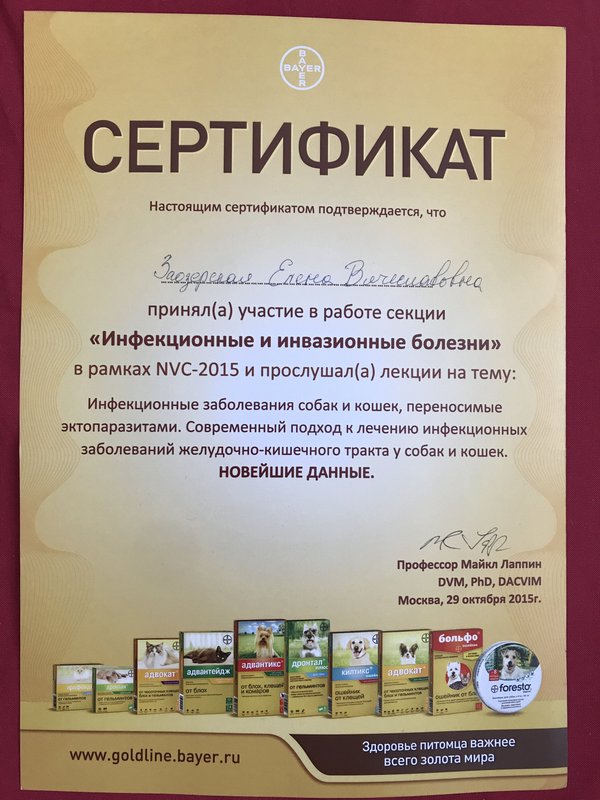 Документ или сертификат