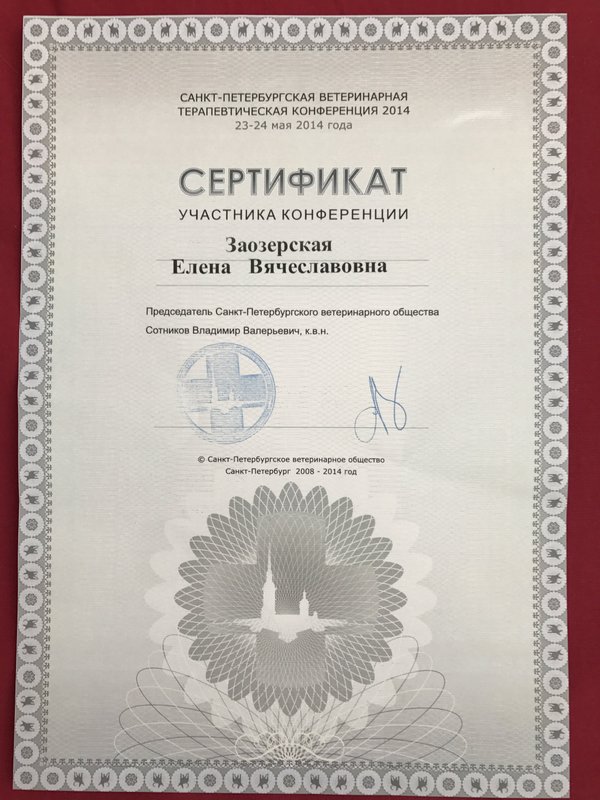 Документ или сертификат