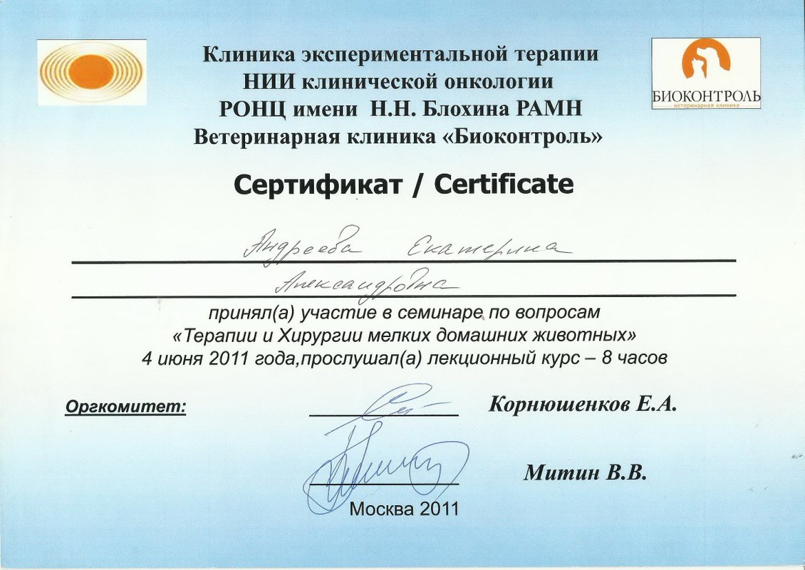 Документ или сертификат
