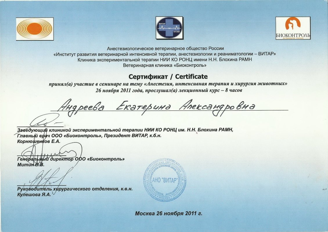 Документ или сертификат