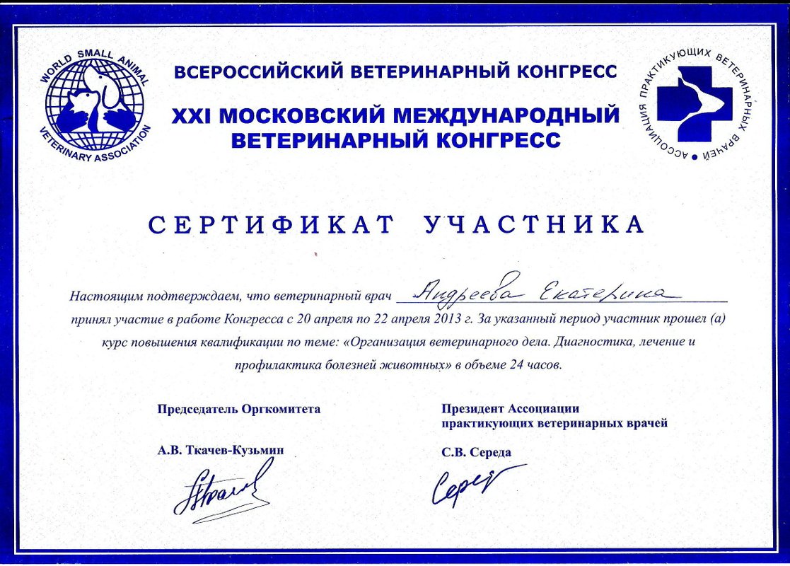 Документ или сертификат