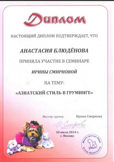 Документ или сертификат