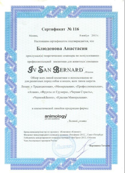 Документ или сертификат