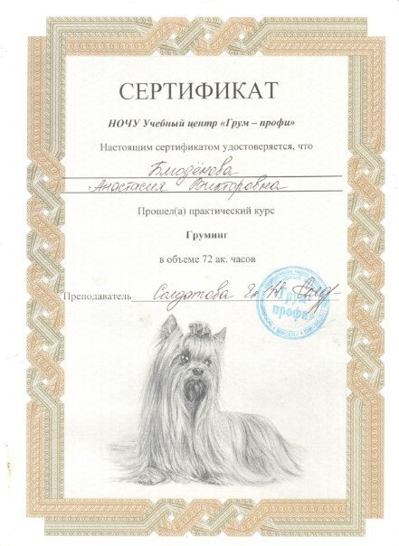 Документ или сертификат