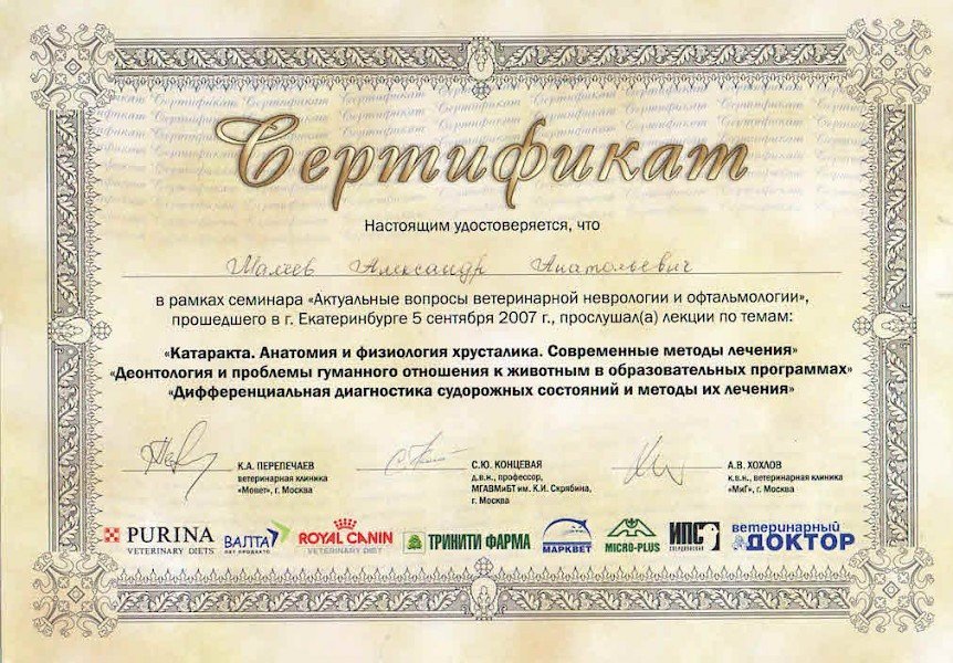 Документ или сертификат