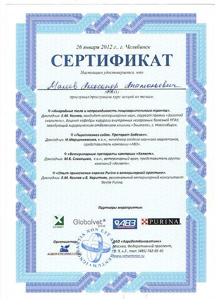 Документ или сертификат