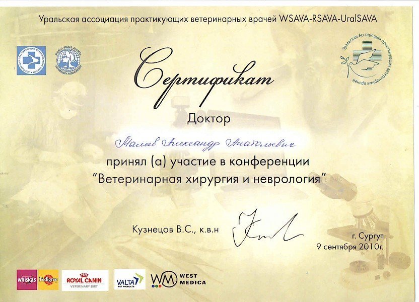 Документ или сертификат