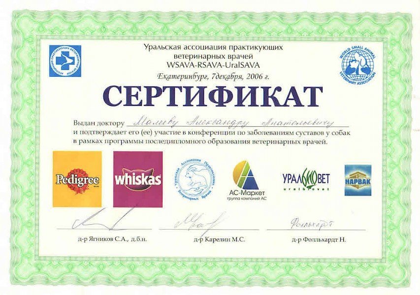 Документ или сертификат