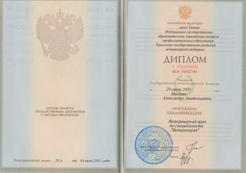 Документ или сертификат