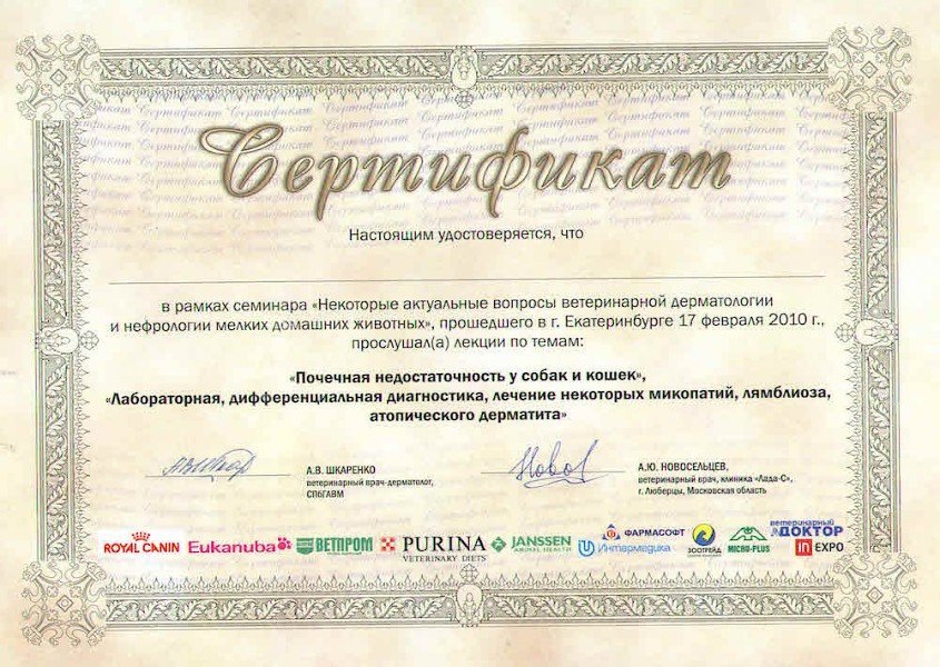 Документ или сертификат