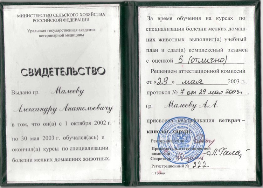 Документ или сертификат