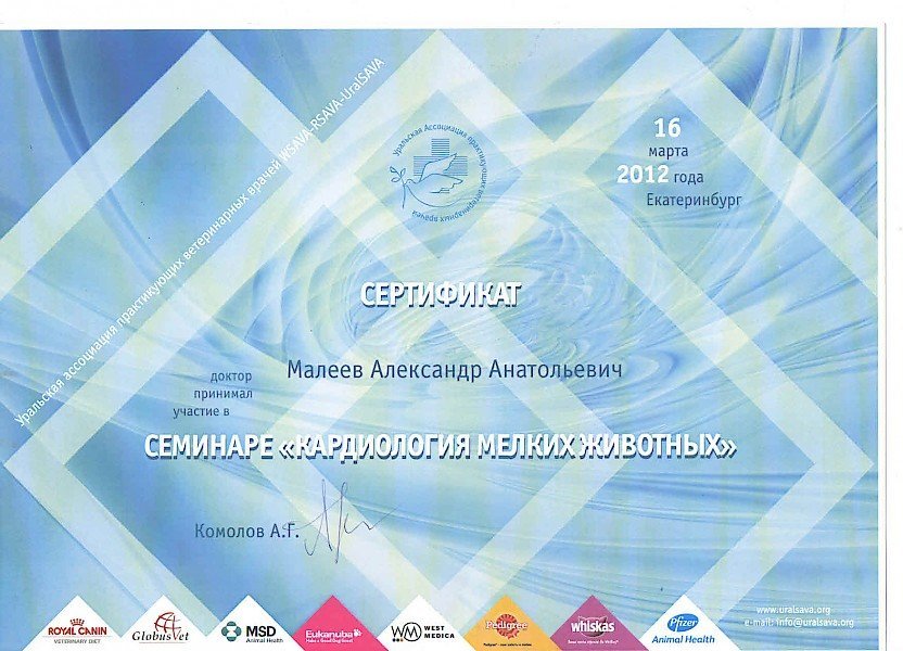 Документ или сертификат