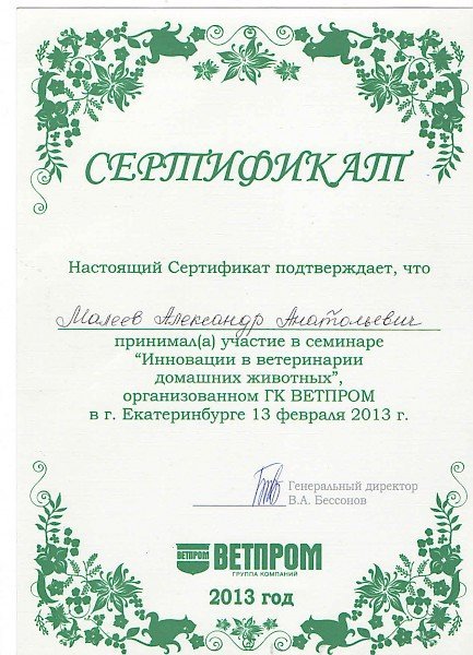 Документ или сертификат