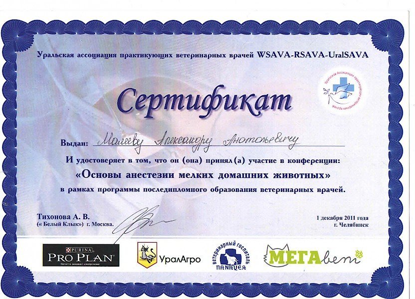 Документ или сертификат