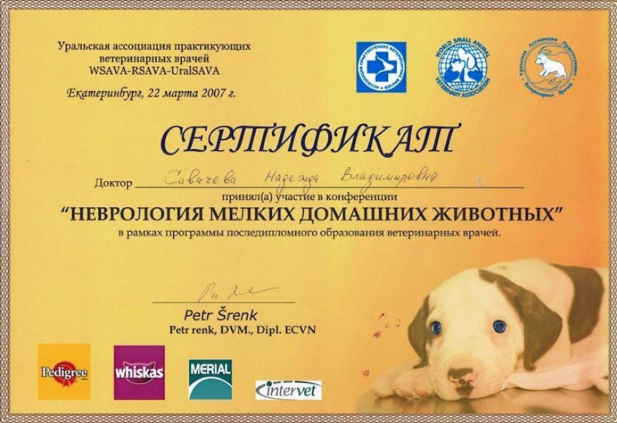 Документ или сертификат